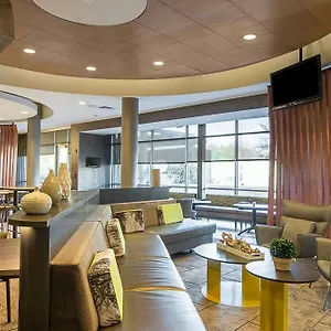 https://springhill-suites-tampa-north.hotelstampa.org